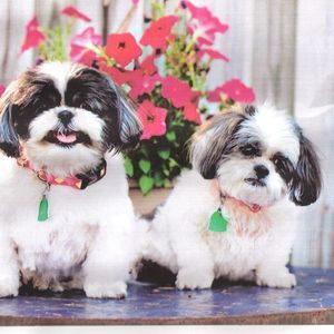 Meet your Posher, Bartley